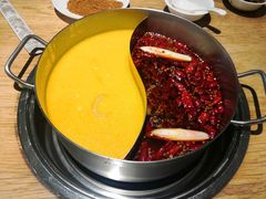 -青瓷火锅料理(西单大悦城店)