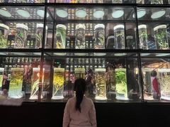 -广东中医药博物馆