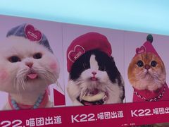 -K22.酸奶草莓(烟台芝罘店)