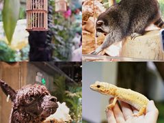 -正佳雨林生态植物园