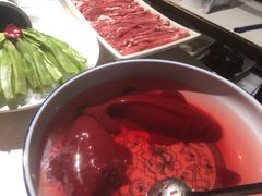 -思阁炭香火锅(学伟鑫城总店)