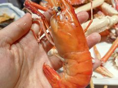 -奔海甄选·活鲜刺身铁板烧自助(太原里店)