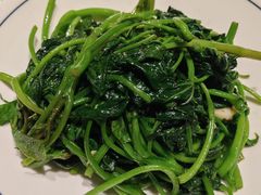 清炒苕尖-老村长•湖北家常菜(黄浦路店)