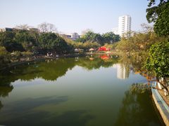 -金砂公园