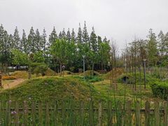 -前小桔亲子创意农场·草莓采摘·露营烧烤