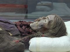 -巴音郭楞蒙古自治州博物馆