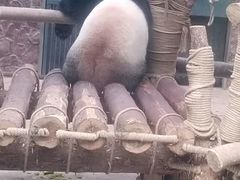 -御轩足道·SPA·养生·保健(瑞金北路店)