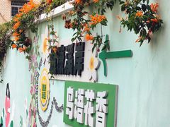 -溪岸路花鸟市场