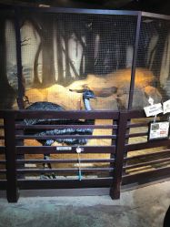 -酷嗒动物文化乐园(cutezoo西溪乐天城店)