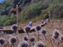 -白草畔自然风景区