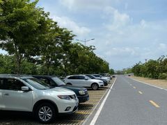 -羚羊峡古栈道森林公园