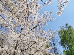 -玉山公园