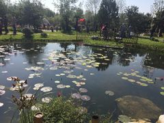 -武清南湖绿博园