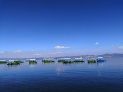 -抚仙湖禄充风景区