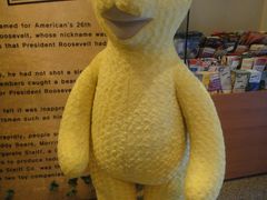 -济州岛泰迪熊博物馆