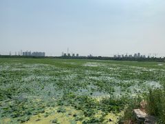 -天津东丽湖风景区