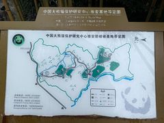 -中国大熊猫保护研究中心雅安碧峰峡基地