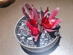 -锦西湖·海鲜小馆(未来科技城店)
