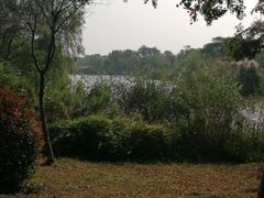 -南湖湿地公园