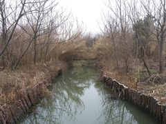 -溱湖国家湿地公园