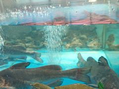 -耕渔小院·湖南鱼鲜(望城店)