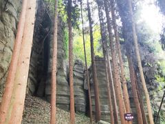 -梭布垭石林景区