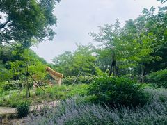 -北京鹫峰国家森林公园