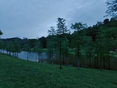-东莞植物园
