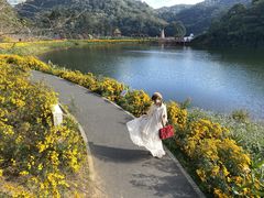 -广州市石门国家森林公园