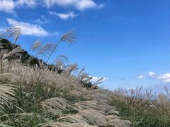 -浙西天池景区