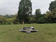 -李宁体育园