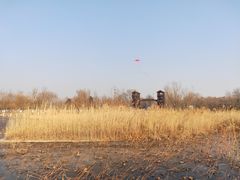 -绿堤公园