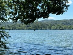 -家烧面馆【南山路知名经典面食】