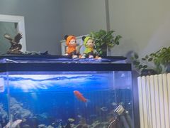 -欢聚烤吧(朱辛庄TBD万科店)