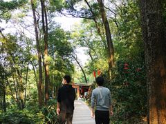 -云溪植物园