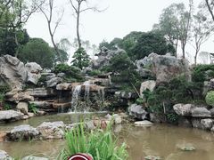 -东莞植物园