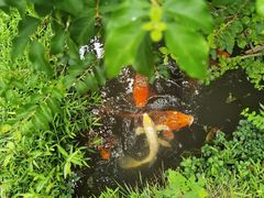 -成都杜甫草堂博物馆