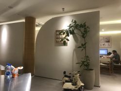 -七色田儿童摄影(静安店)