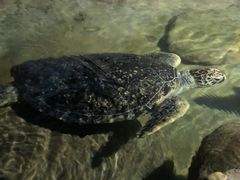 -厦门海底世界