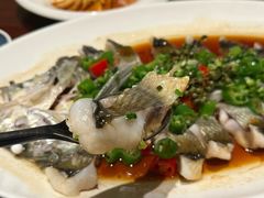 -万丽轩中餐厅·粤菜·客家菜-富力万丽酒店