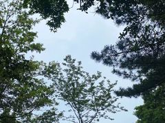 -萍乡武功山风景名胜区