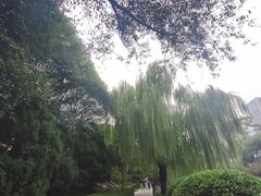 -元大都城垣遗址公园