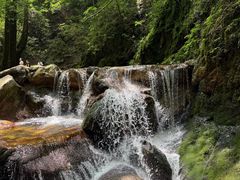 -牛背梁国家森林公园