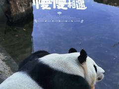 -沈阳森林动物园