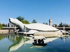 -东方巨龟苑景区