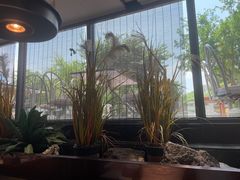 -花园茶楼(兴城西路店)