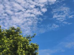 -剔八谷山西面馆(南内环店)