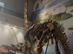 -自贡恐龙博物馆