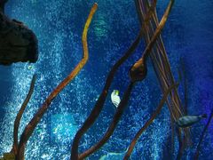 -沈阳海洋探索中心