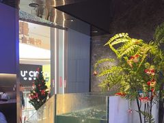 -曼格活海鲜·牛排自助(光明蓝鲸店)